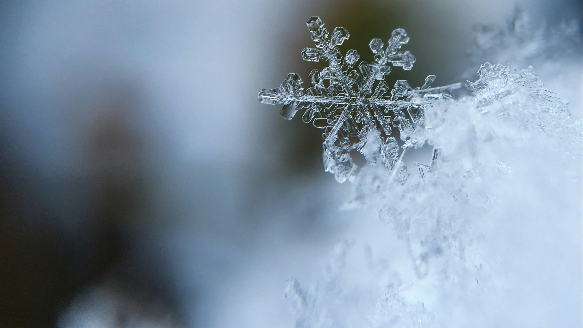 13. On affrontait les hivers avec presque rien