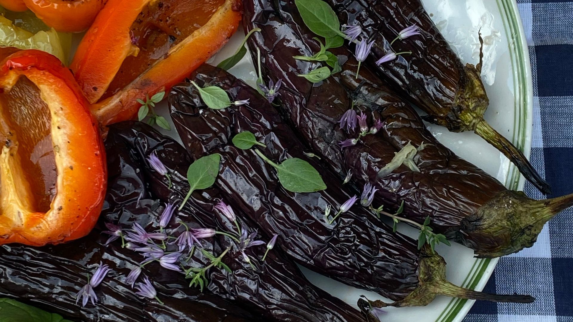 Aubergine