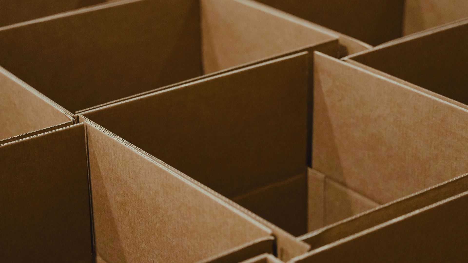 18. Carton