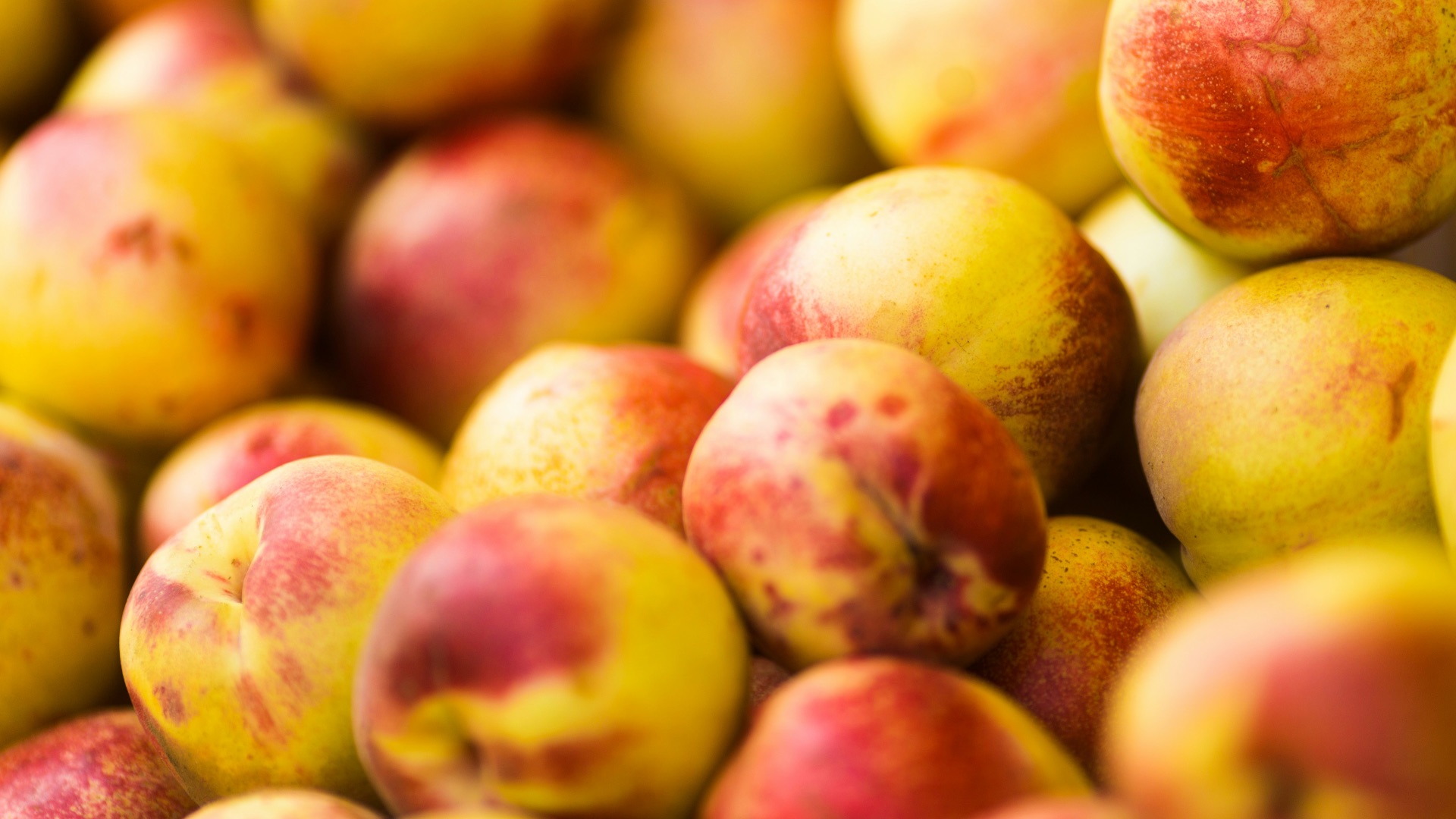 5. Les nectarines