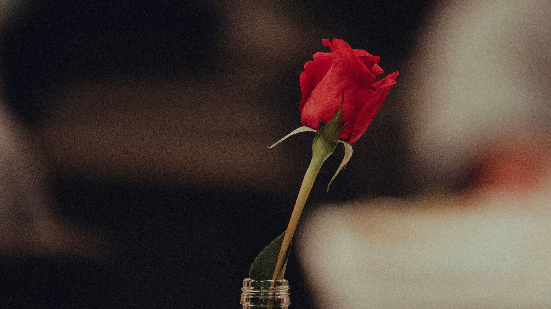 16. « Tu m'inspires. »