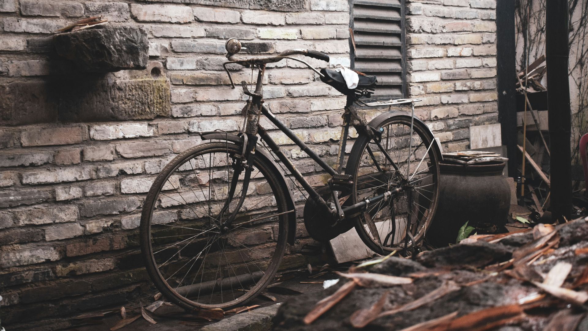 11. Le vélo