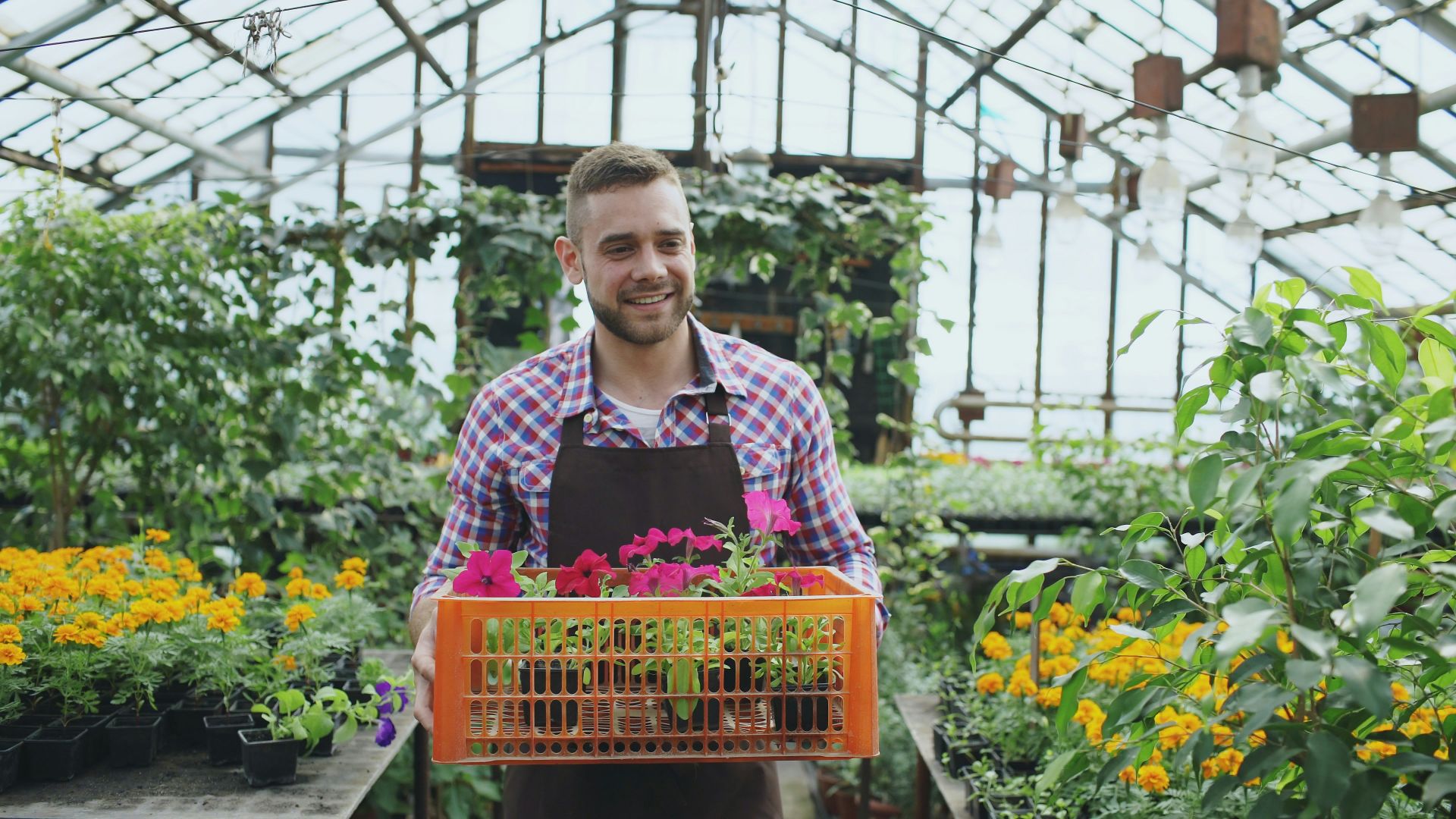 14. Vendeur(se) en jardinerie