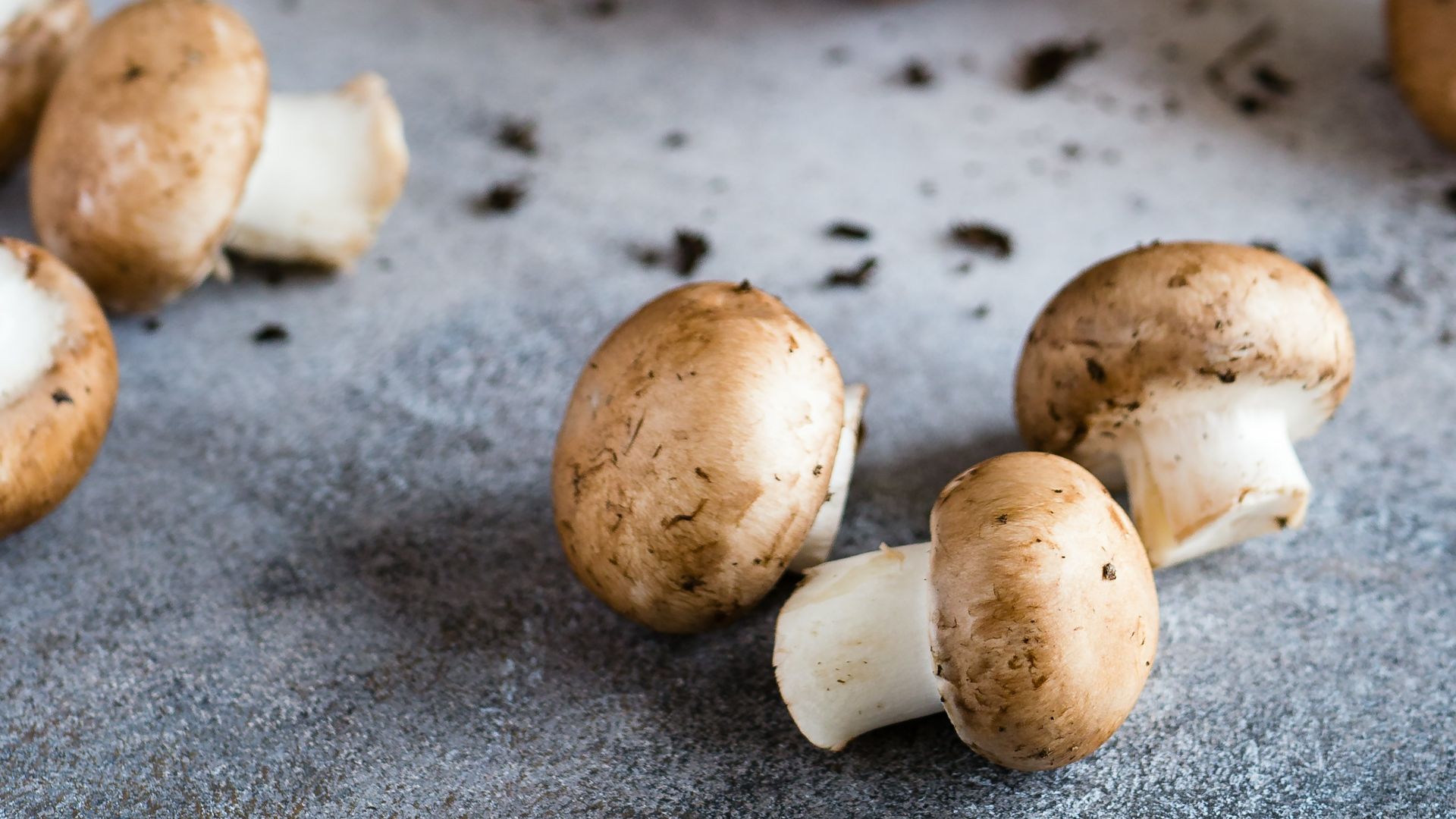 19. Beurre aux champignons contre la gale