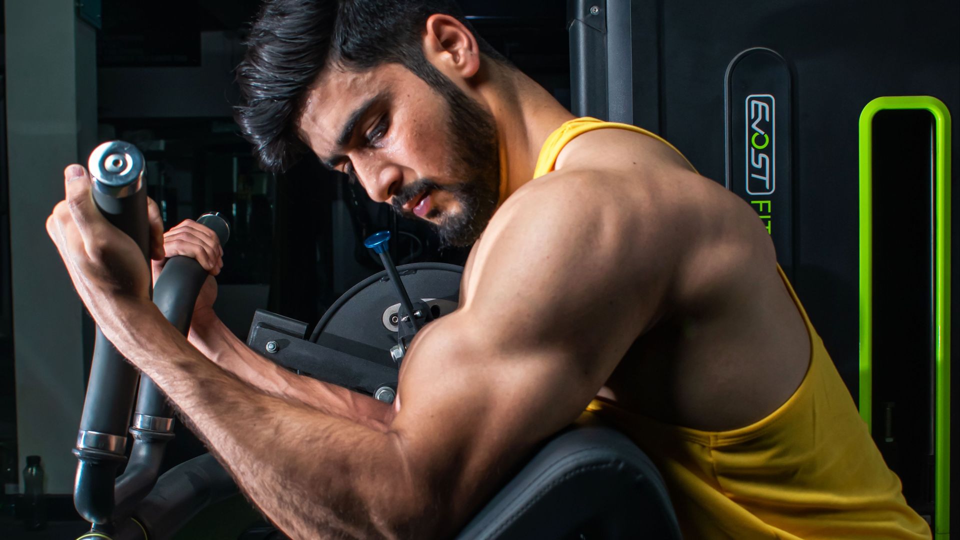 4. Définition musculaire