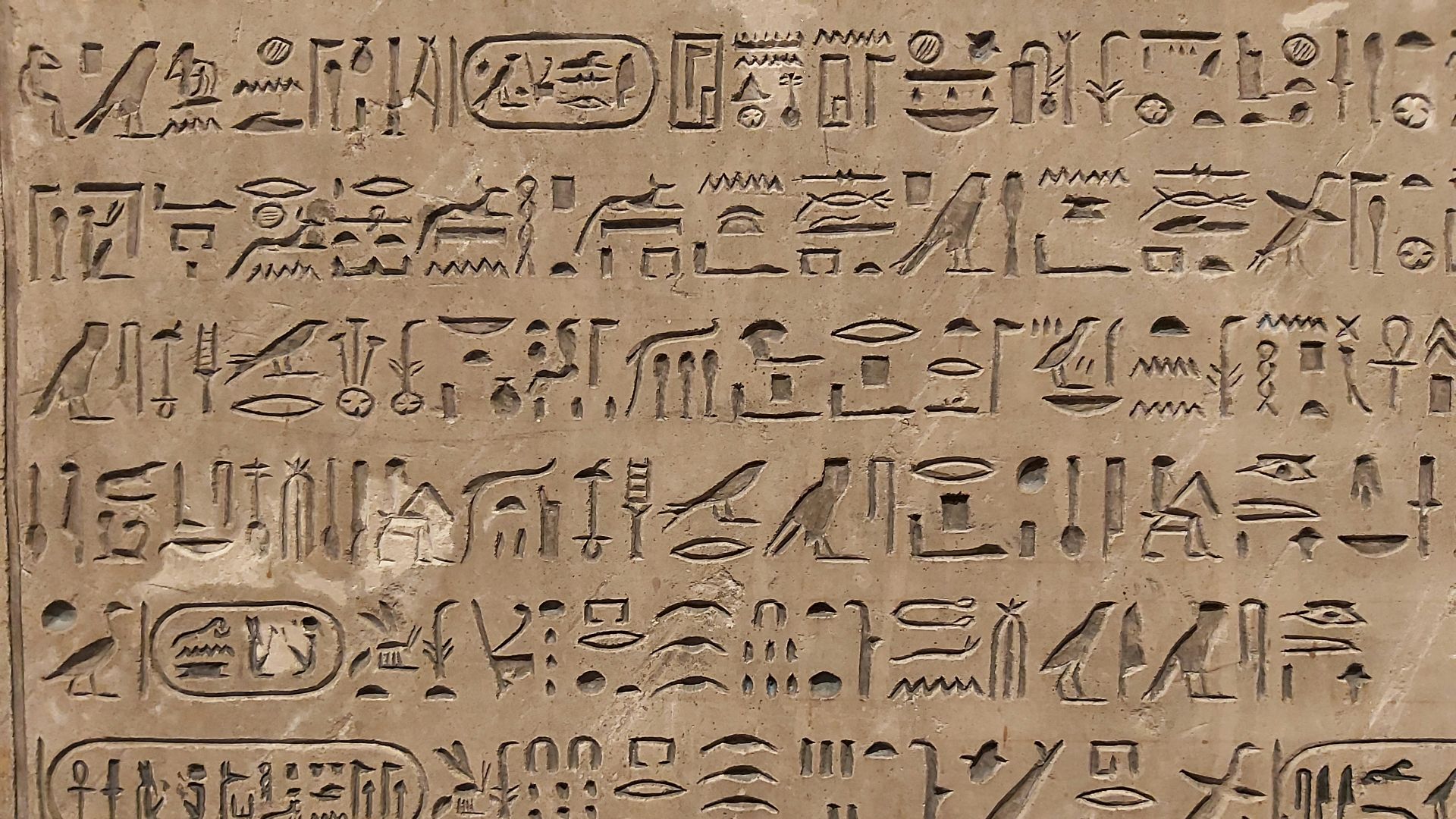17. Les scribes répertoriaient presque tout ce que vous possédiez