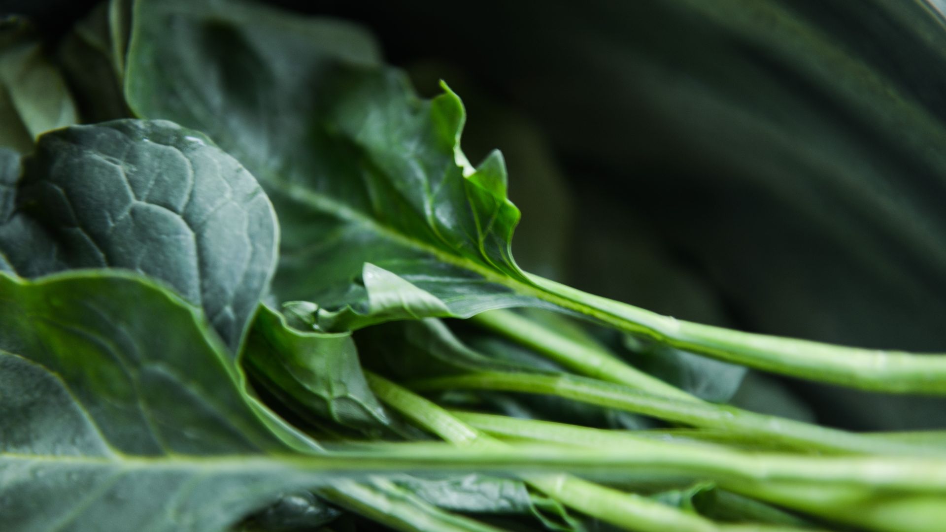 9. Feuilles de chou vert à la dinde fumée