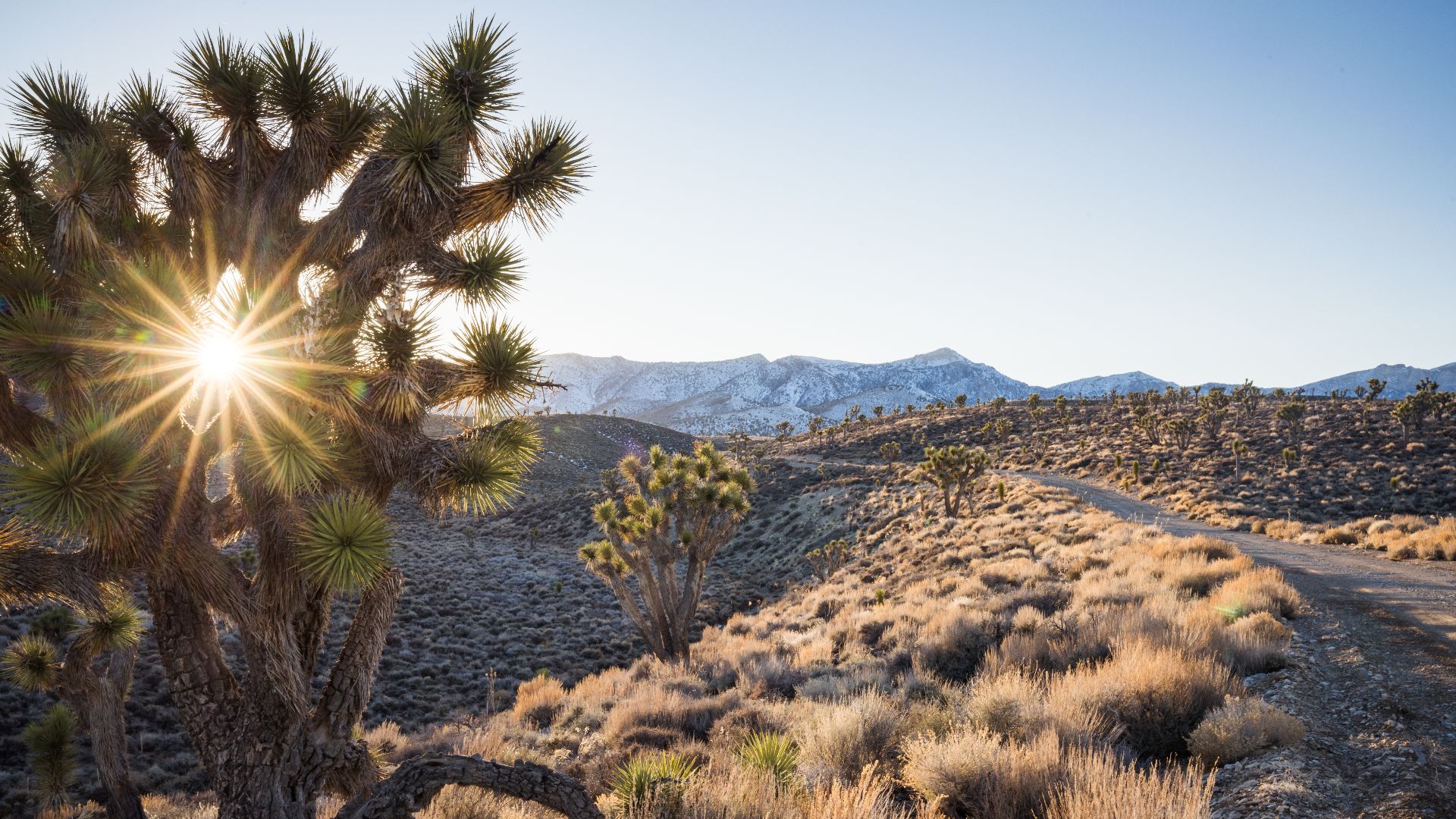 2. West Side Road, Vallée de la Mort, Californie