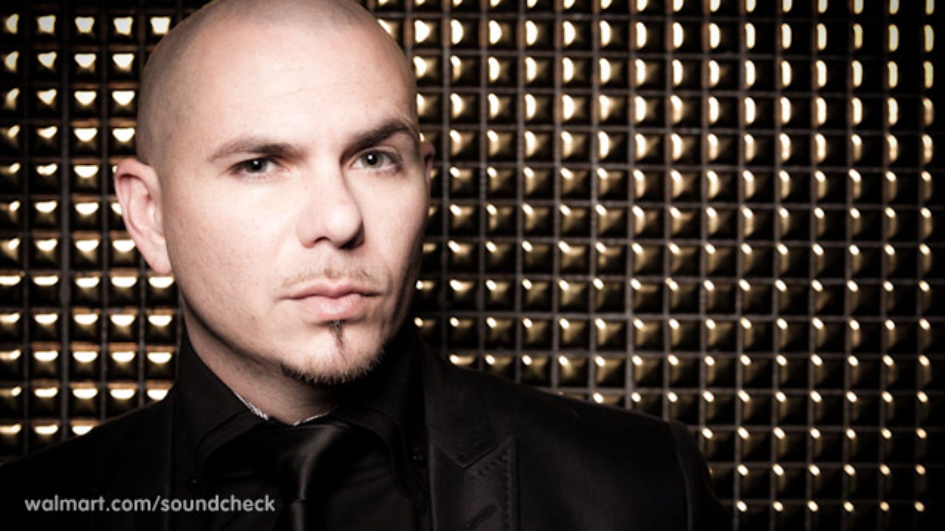 9. Pitbull