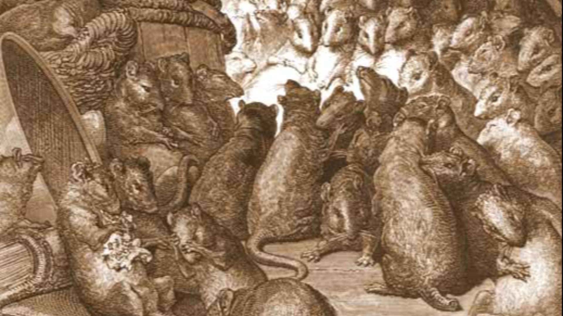 20. Les rats et les puces propageaient des maladies que personne ne comprenait