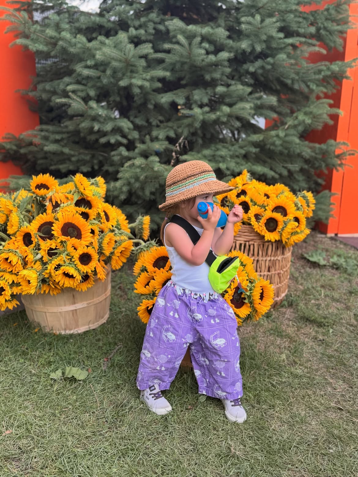 Petite puce dans les tournesols