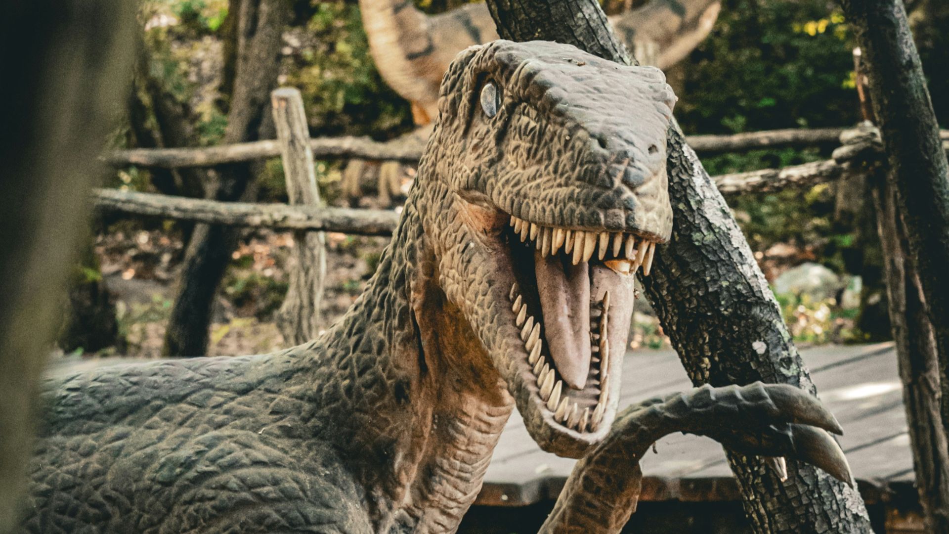 17. Les « vélociraptors » de Jurassic Park n'appartenaient pas à la bonne période géologique