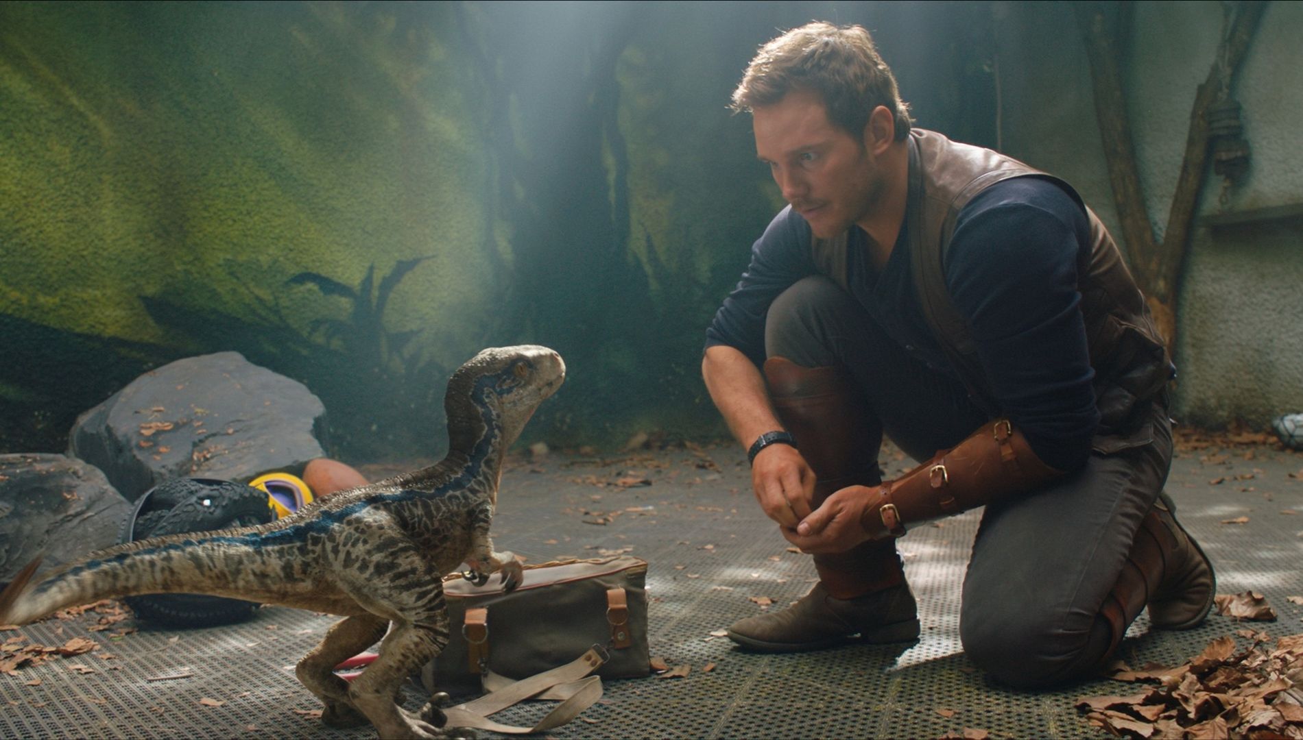 10. Jurassic Park / Jurassic World