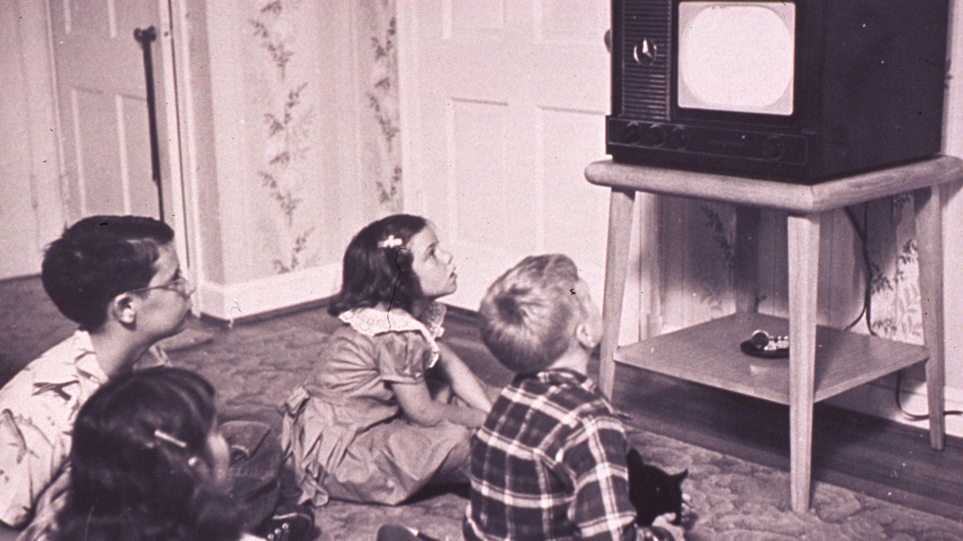12. Le comportement chez l'enfant