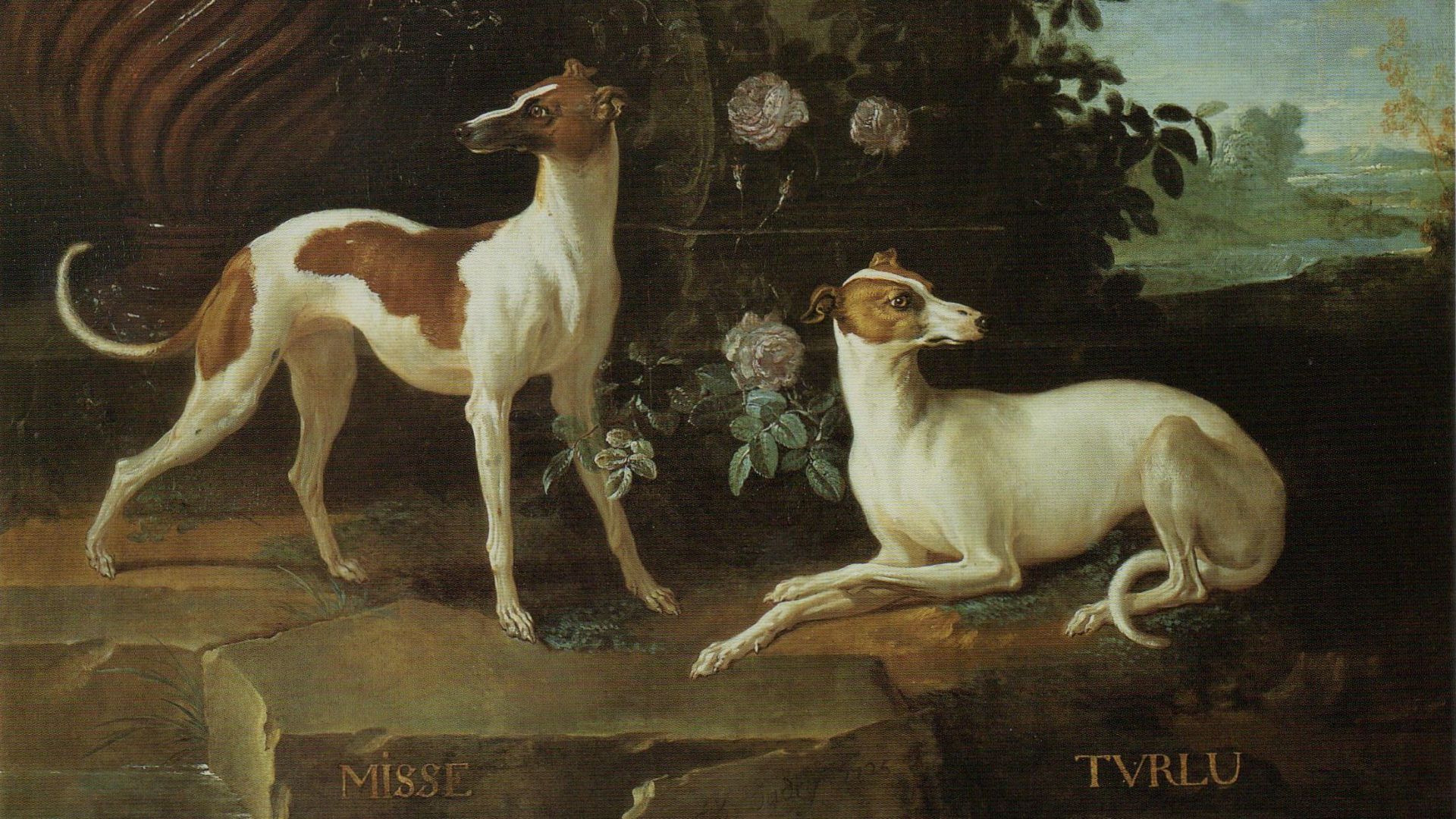 18. Misse et Turlu