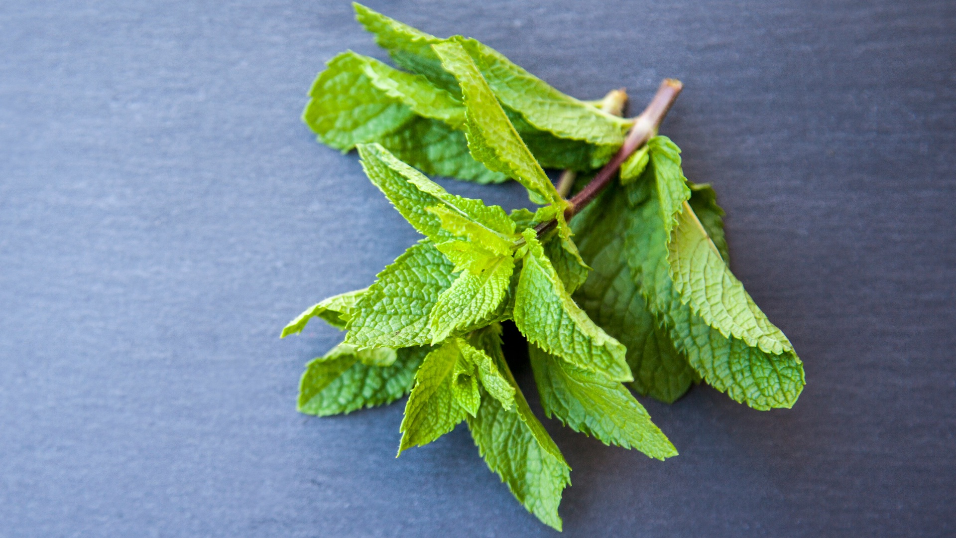 14. La menthe était prescrite pour l'estomac