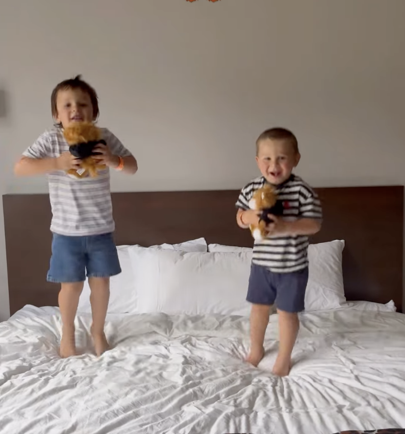 Le bonheur des minis