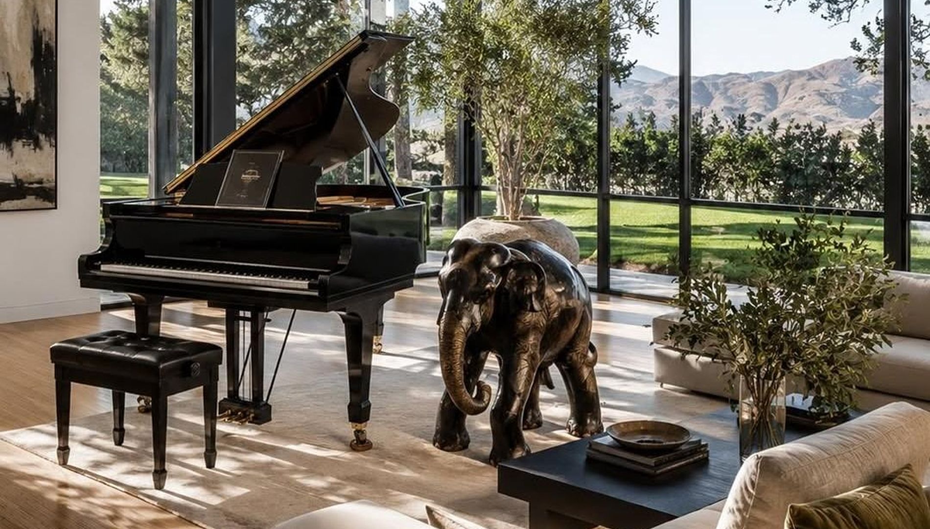 The Piano and the View