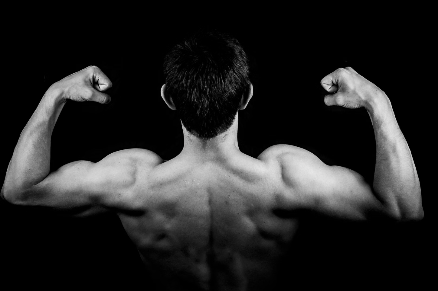 11. Muscle
