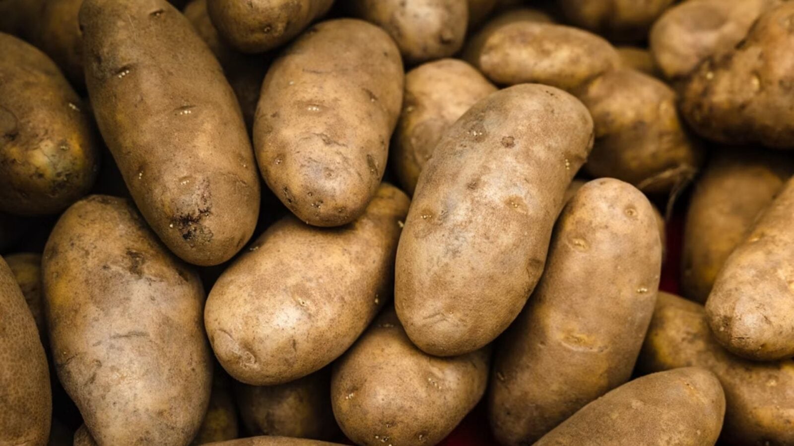 20. The Potato Only Lit The Match