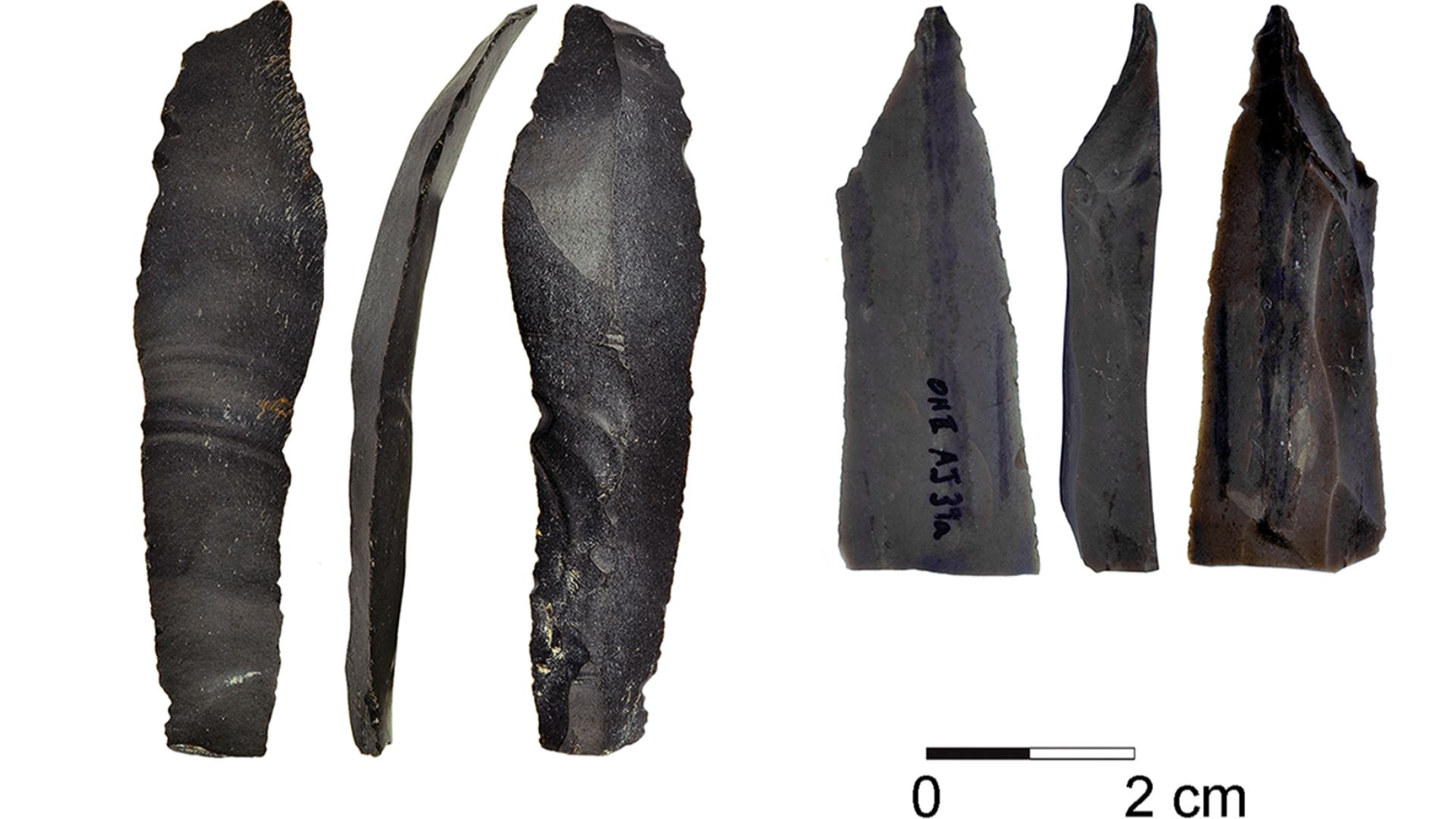 8. Ohalo II