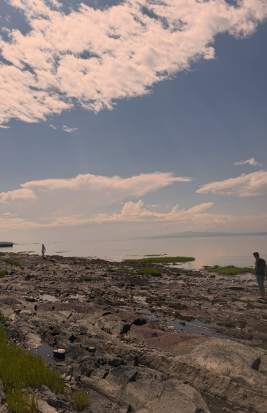 Le fleuve