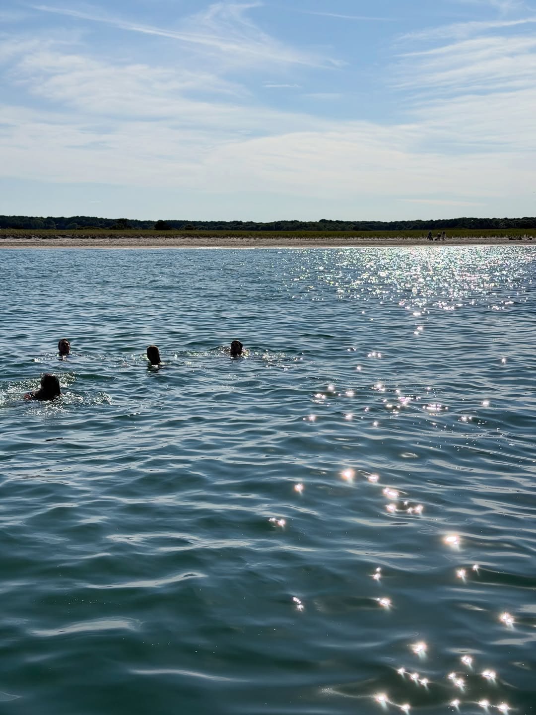 Une baignade entre amis