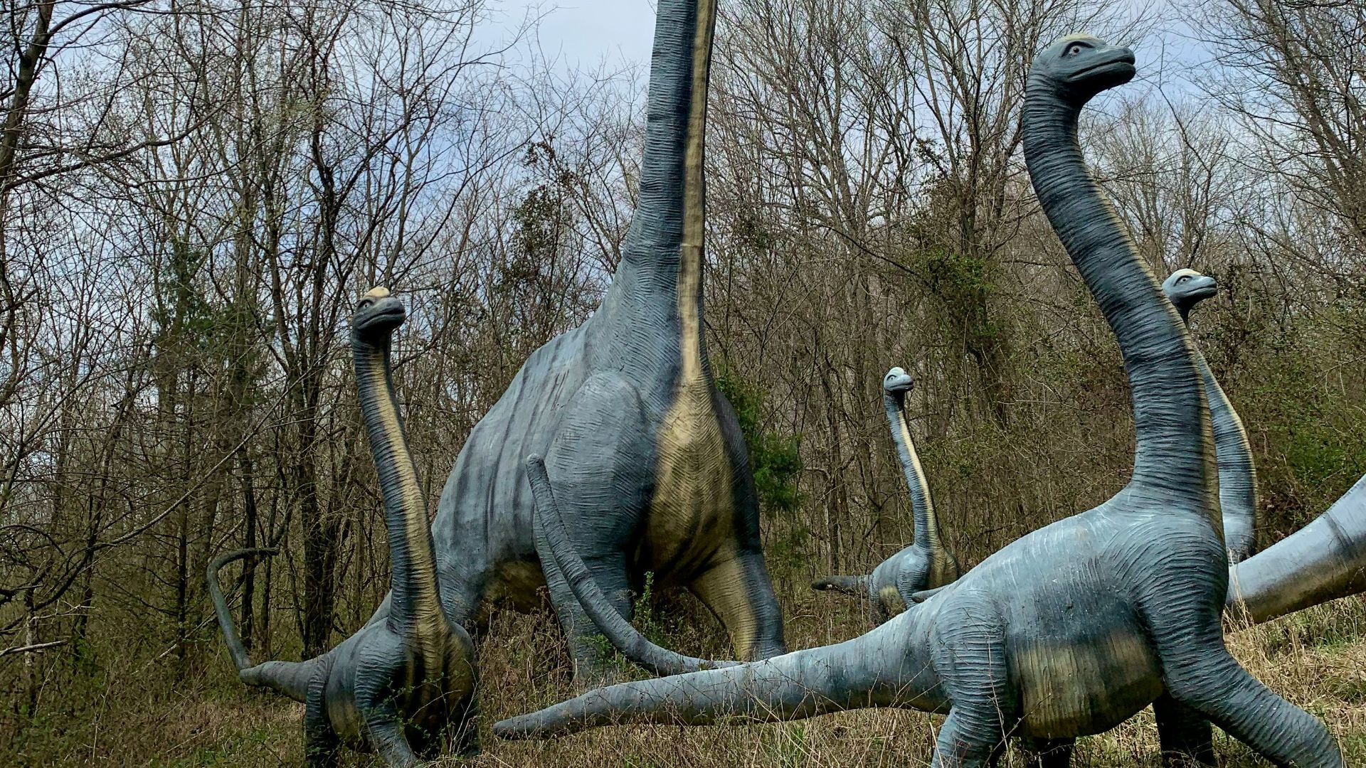 11. Les herbivores n'étaient pas tout à fait inoffensifs
