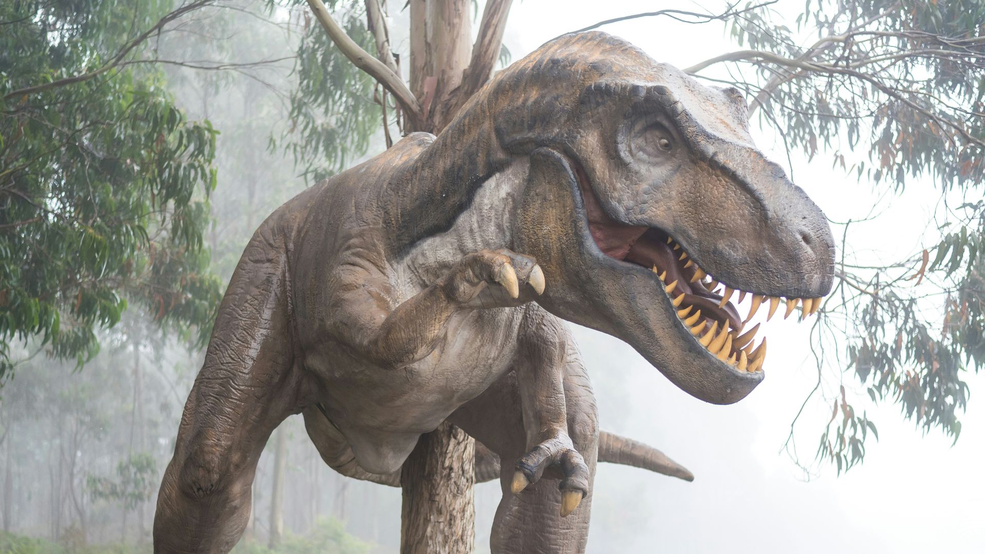 16. Les dinosaures avaient plusieurs stratégies parentales