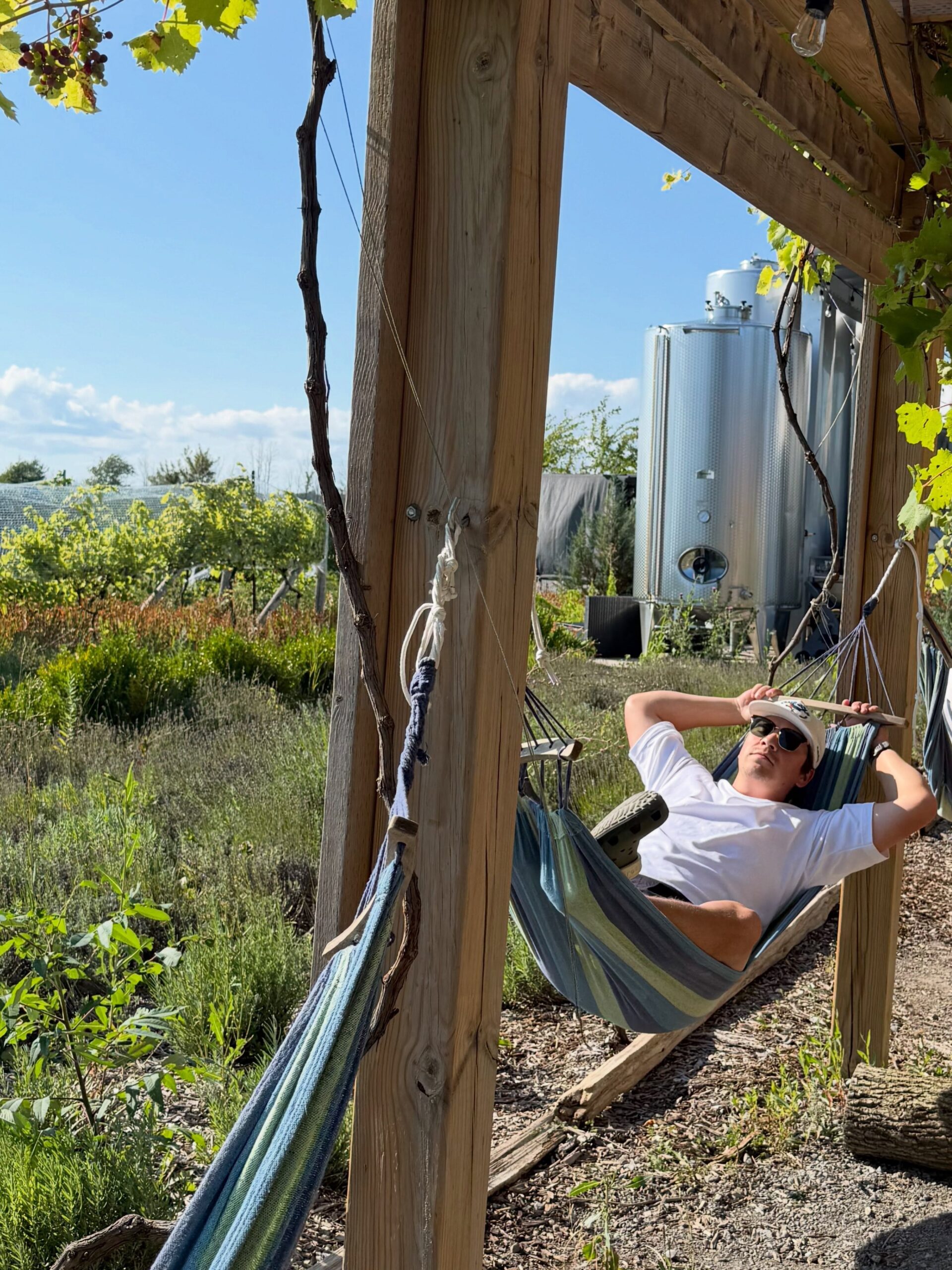Un moment de détente au cœur des vignes