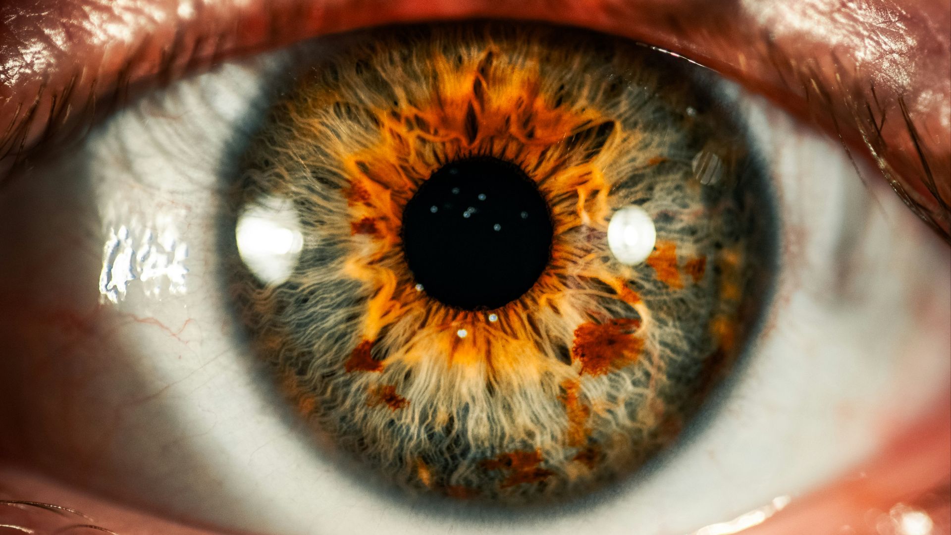 2. « Tes yeux brillent plus que le soleil »