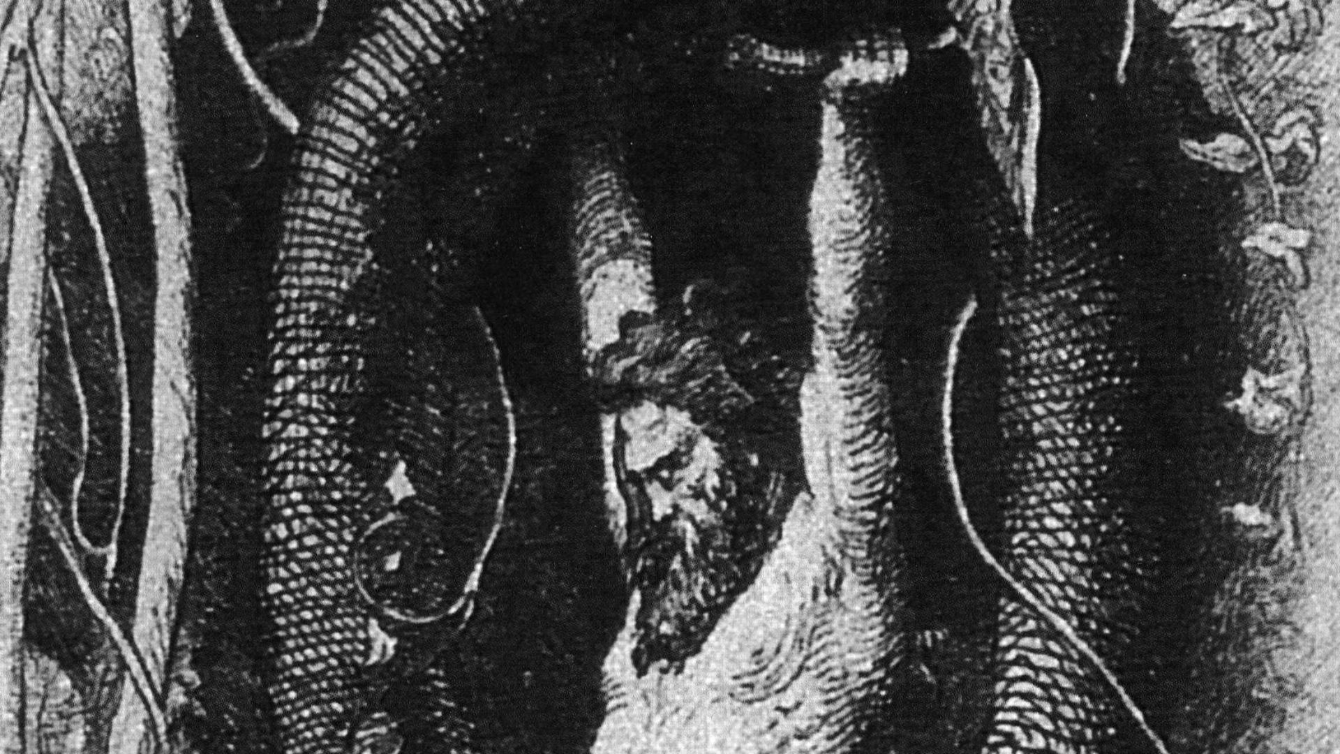 2. Jörmungandr