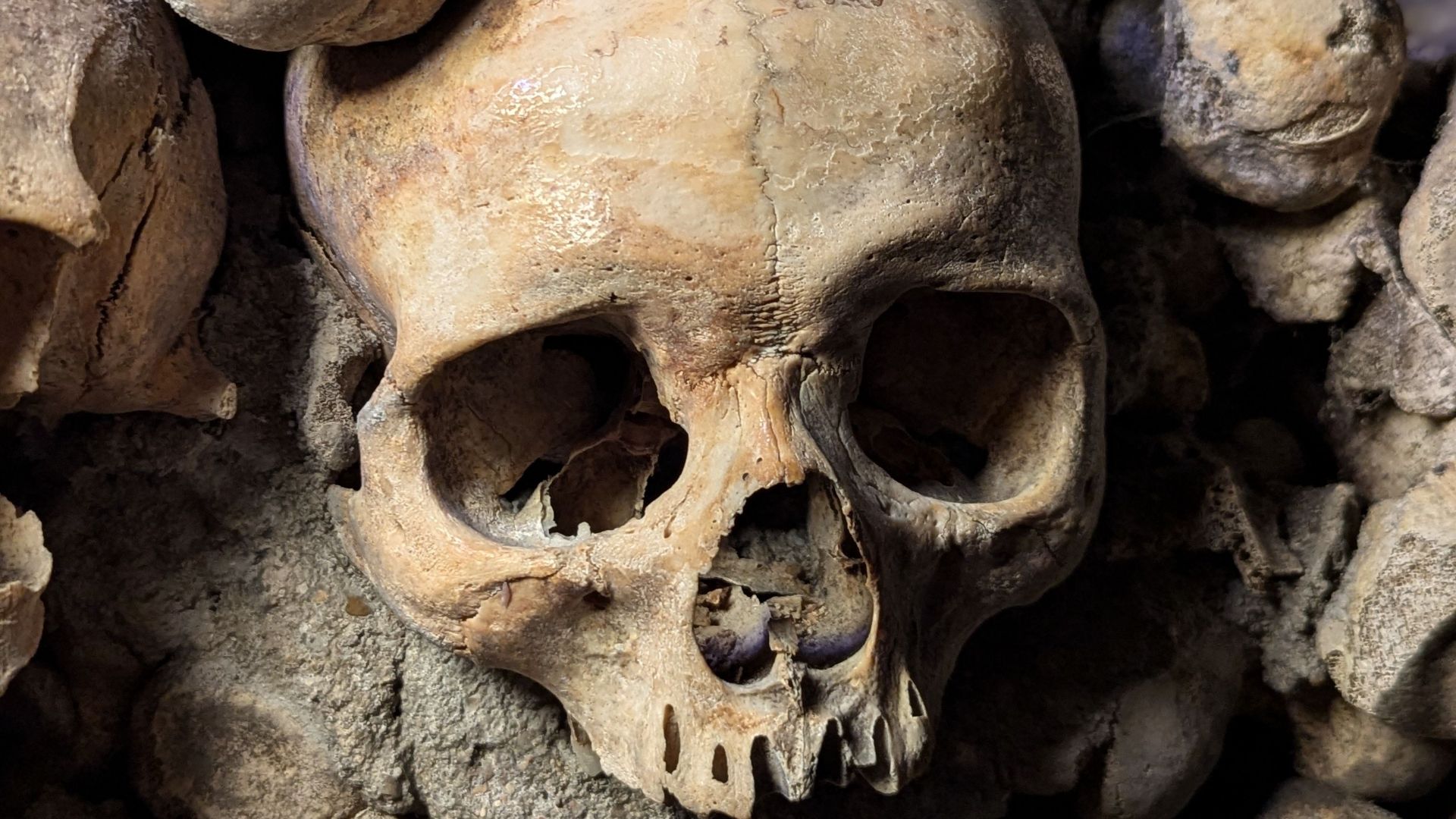 16. L'os du doigt de la grotte de Denisova