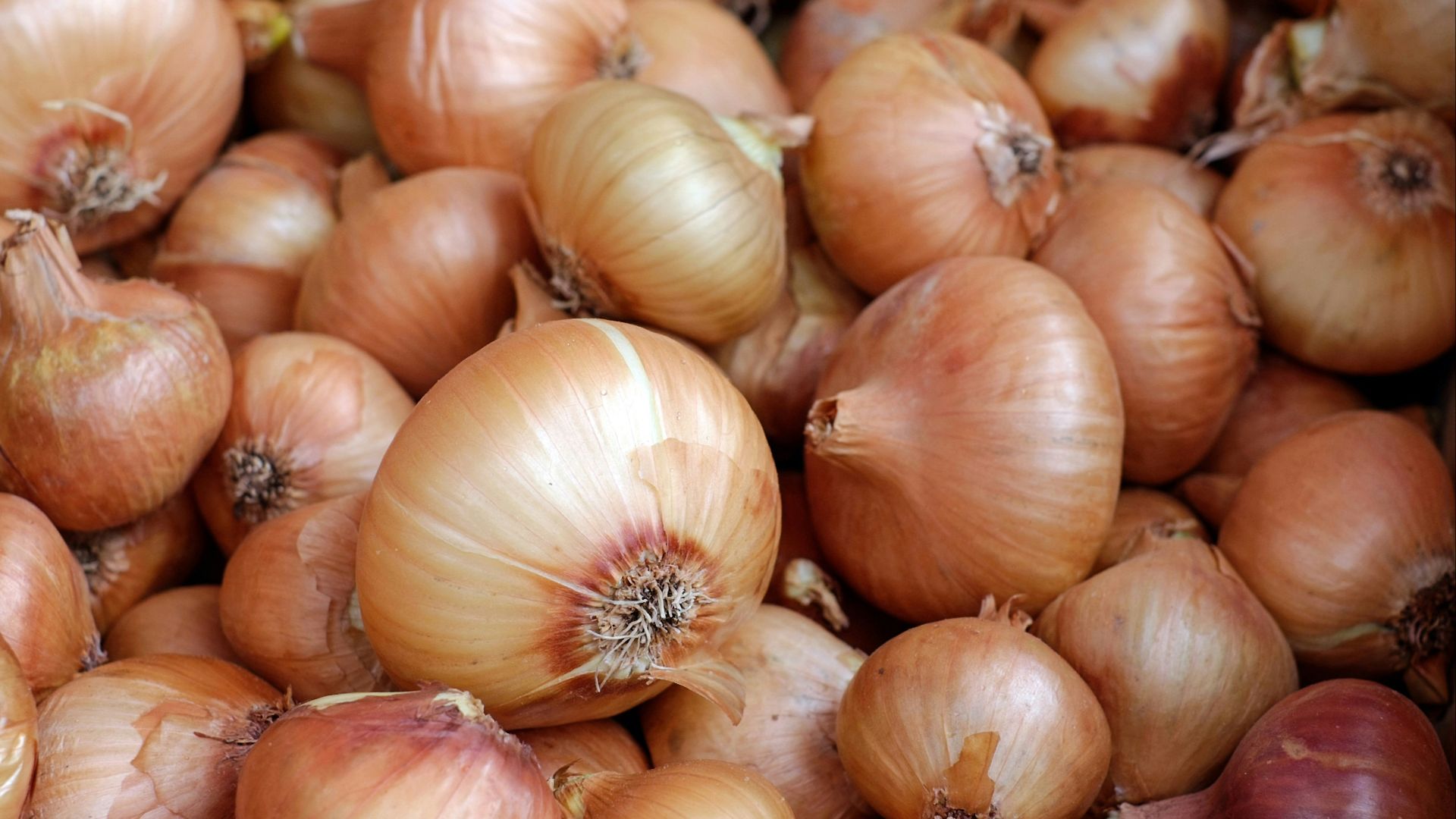 7. Oignons