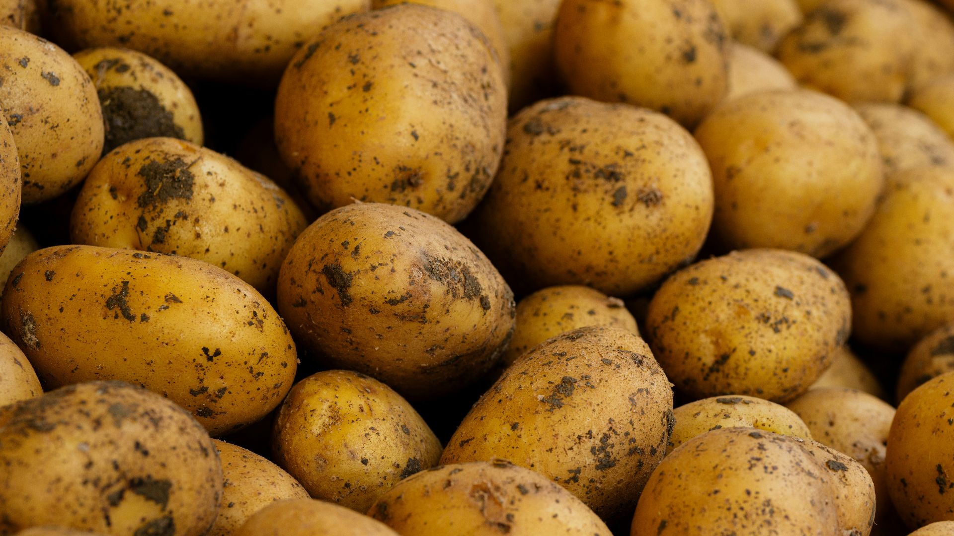 8. Ils utilisaient des pommes de terre dans la confection de bonbons