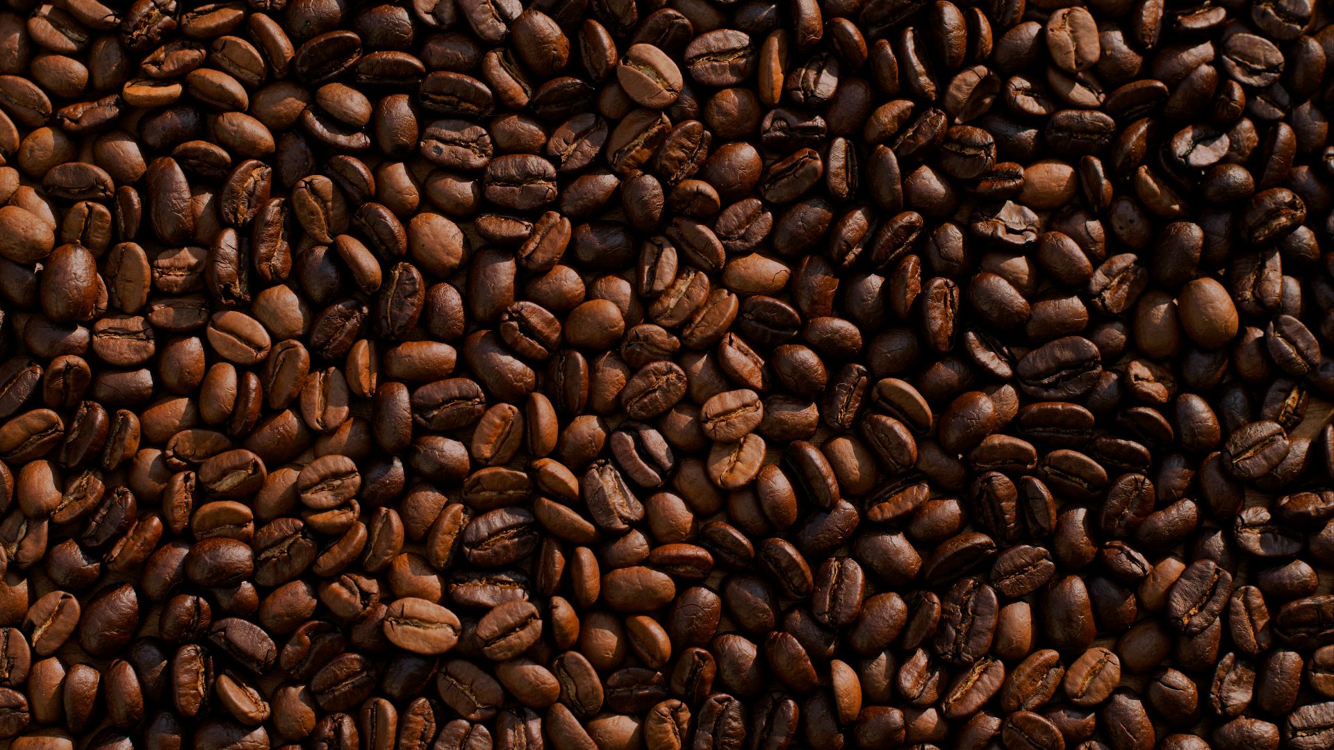 16. Café ou succédanés de café