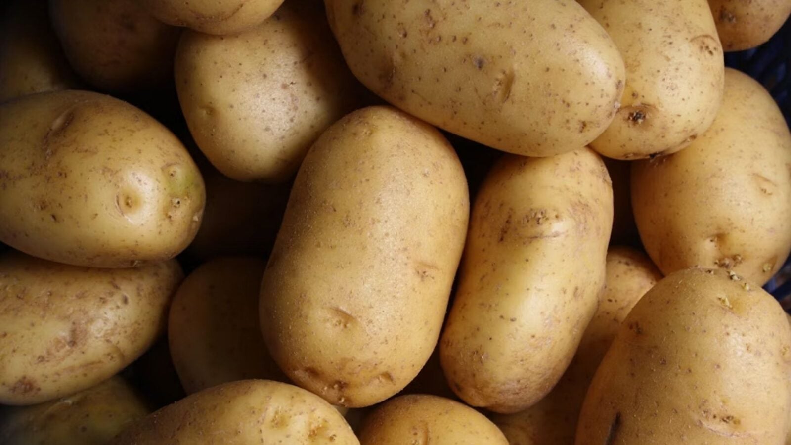 1. Long Before It Was Political, The Potato Was Just Andean