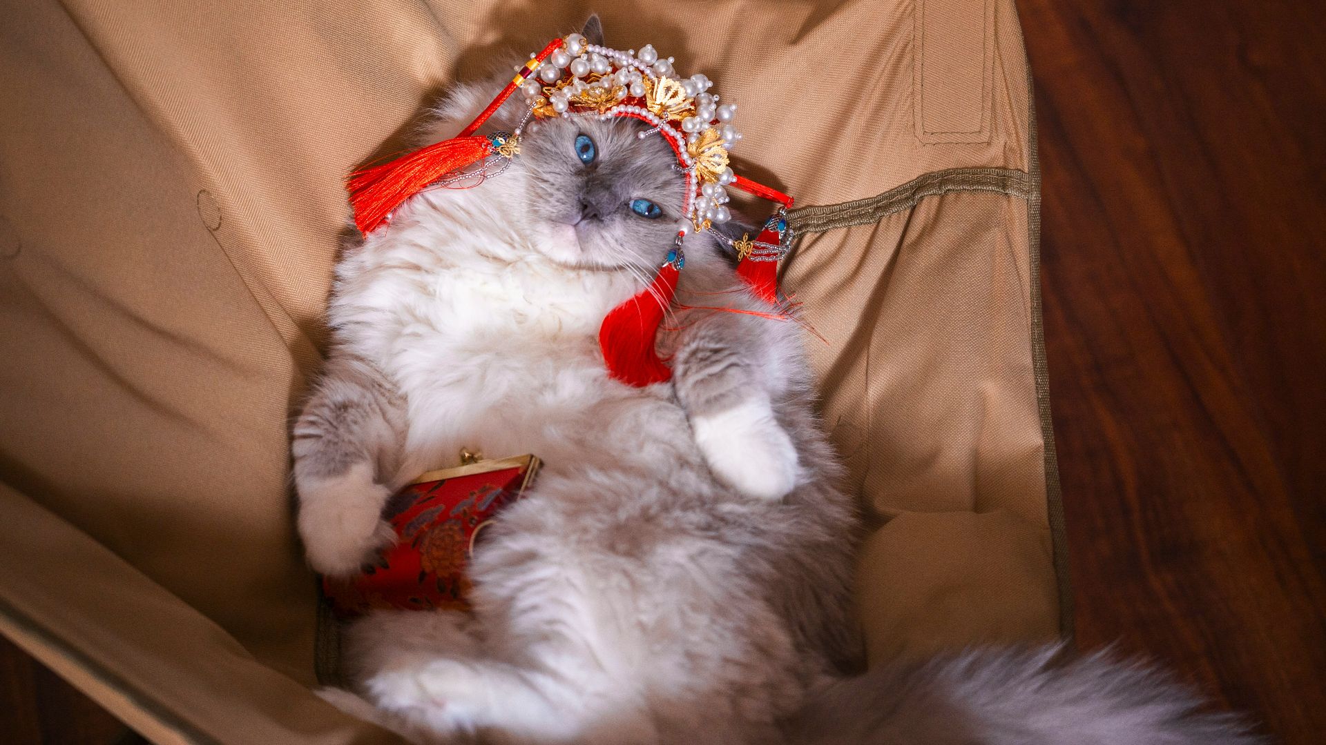20 Royal Pets That Lived Better Than Most People