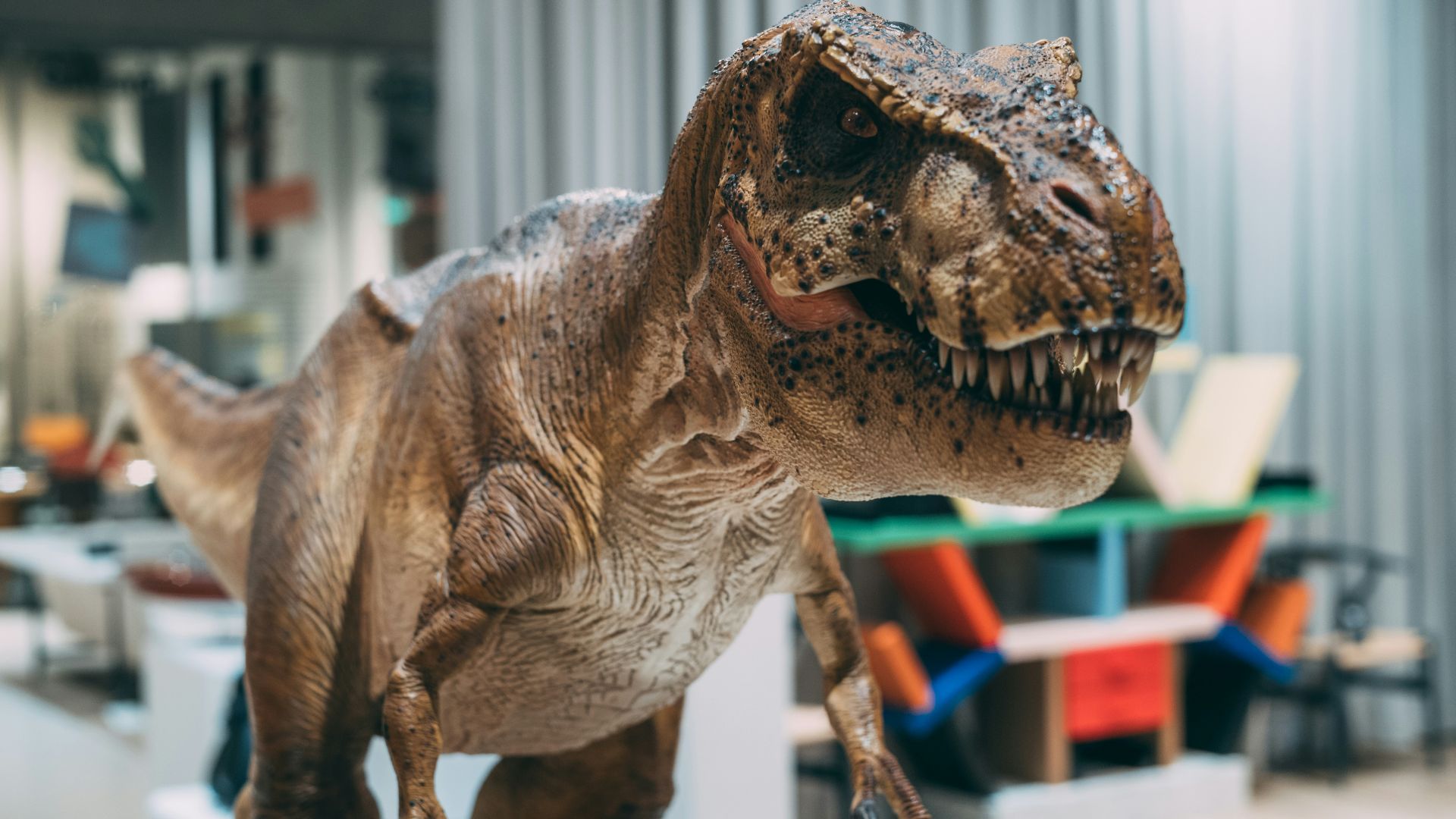 8. Les dinosaures ne marchaient pas comme des lézards géants