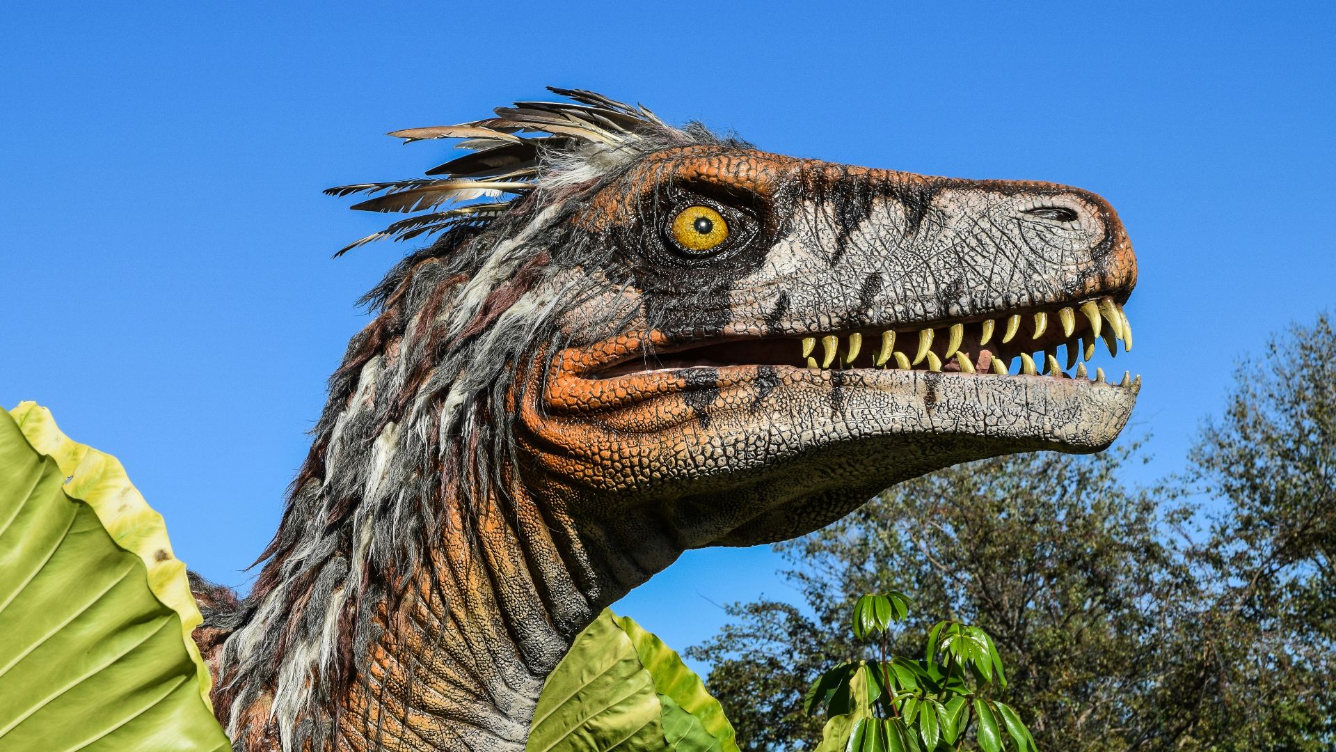 14. Les dinosaures avaient sans doute des couleurs plus intéressantes
