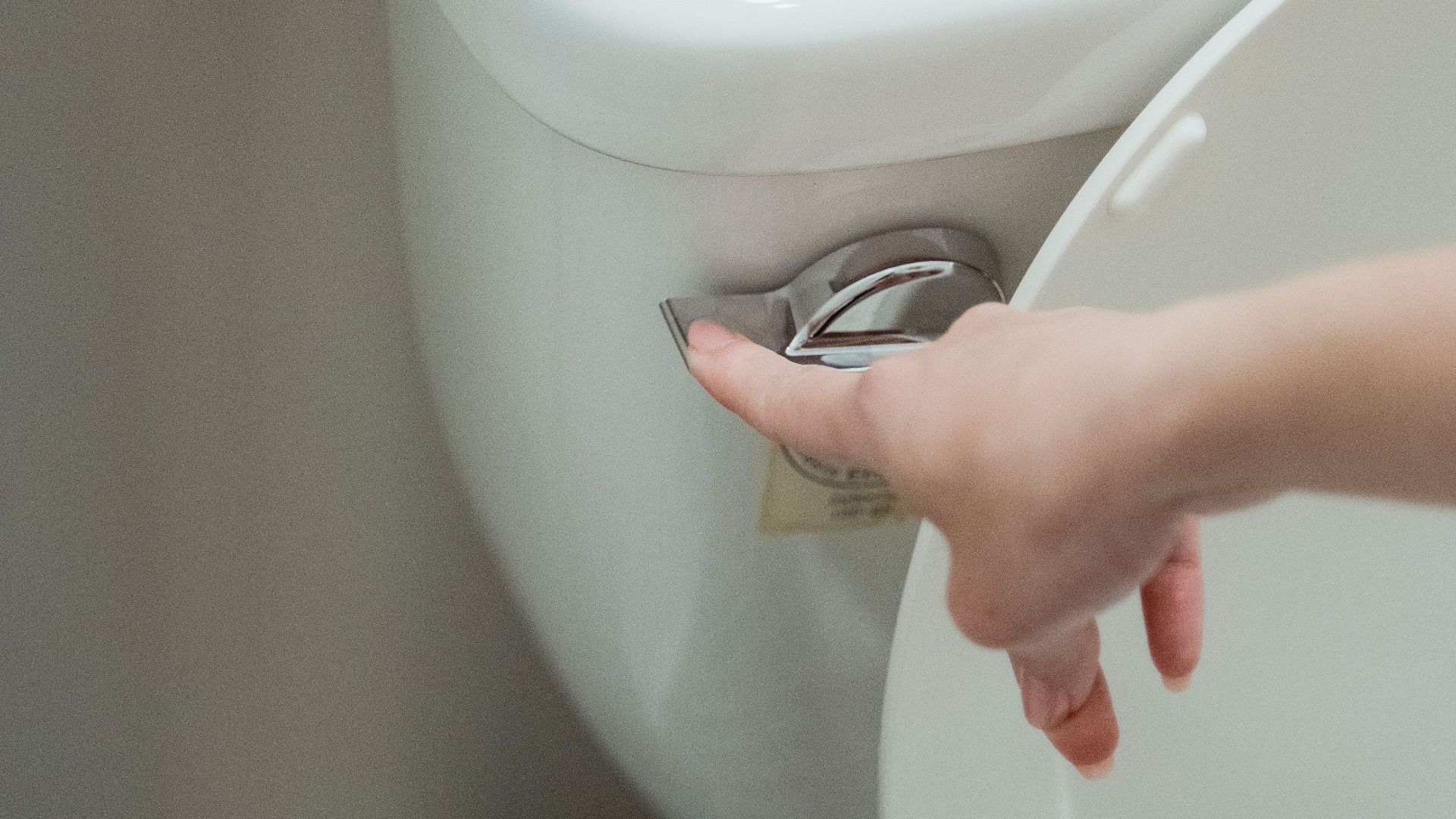 3. Les toilettes à chasse d'eau