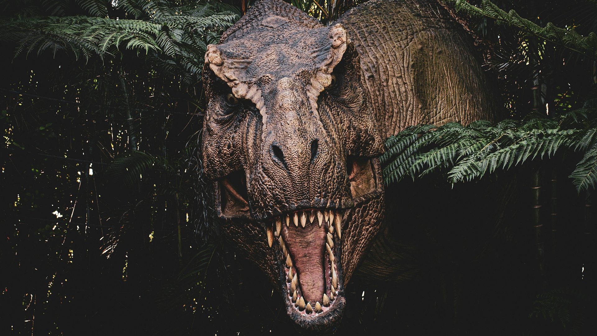 20 Misconceptions Hollywood Keeps Spreading About Dinosaurs