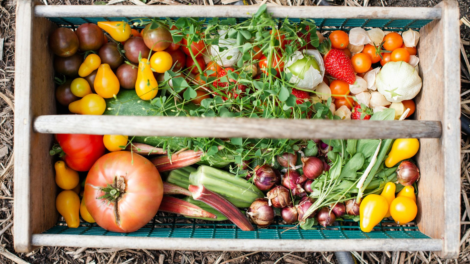 11. Ils comptaient sur leurs potagers familiaux