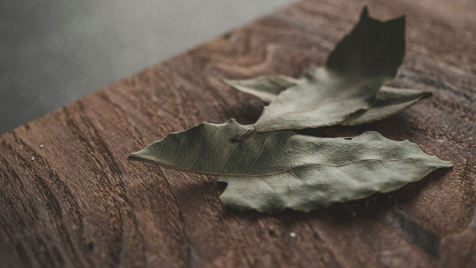 13. Feuilles de laurier