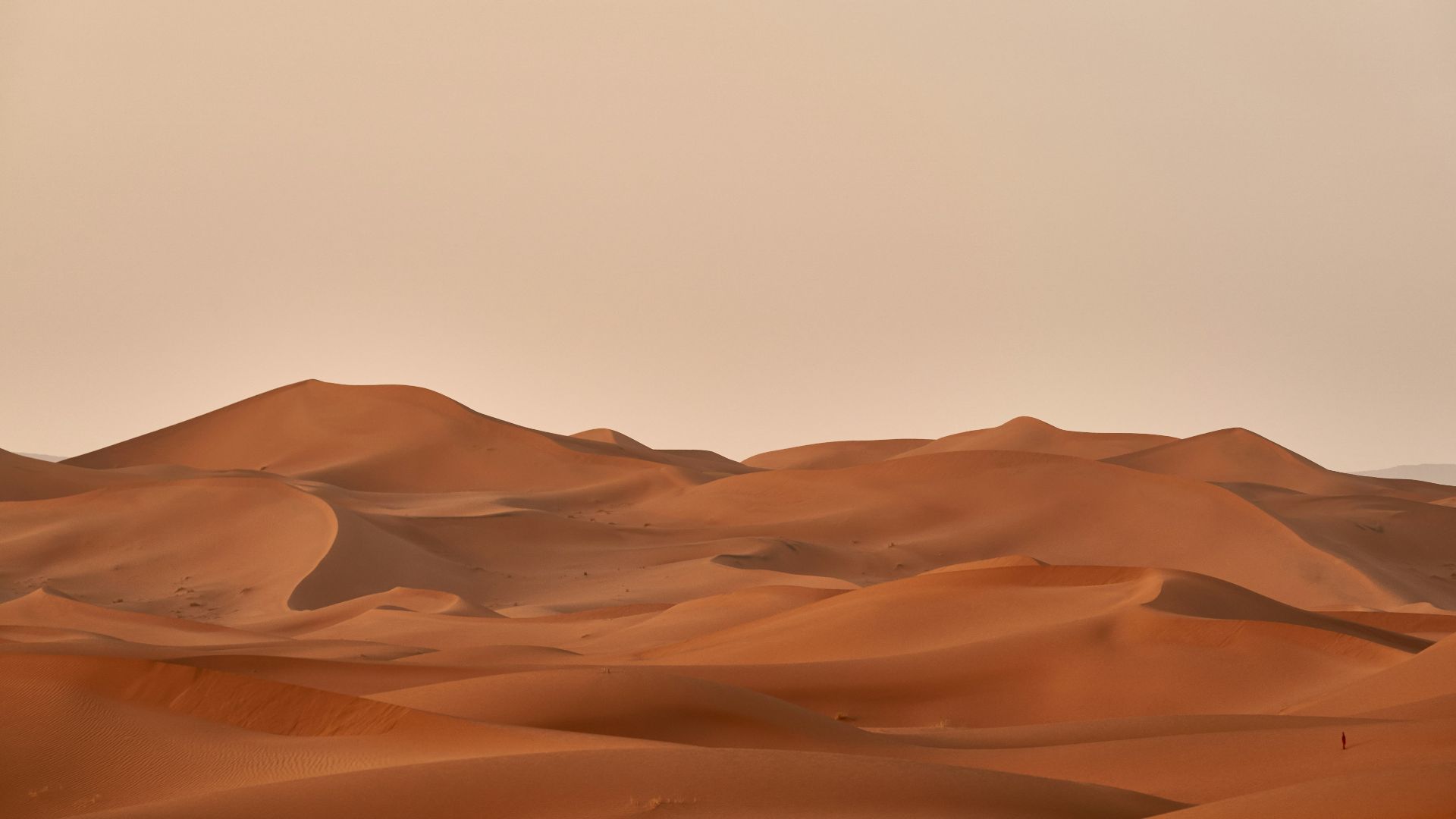 16. Le Sahara garamantien