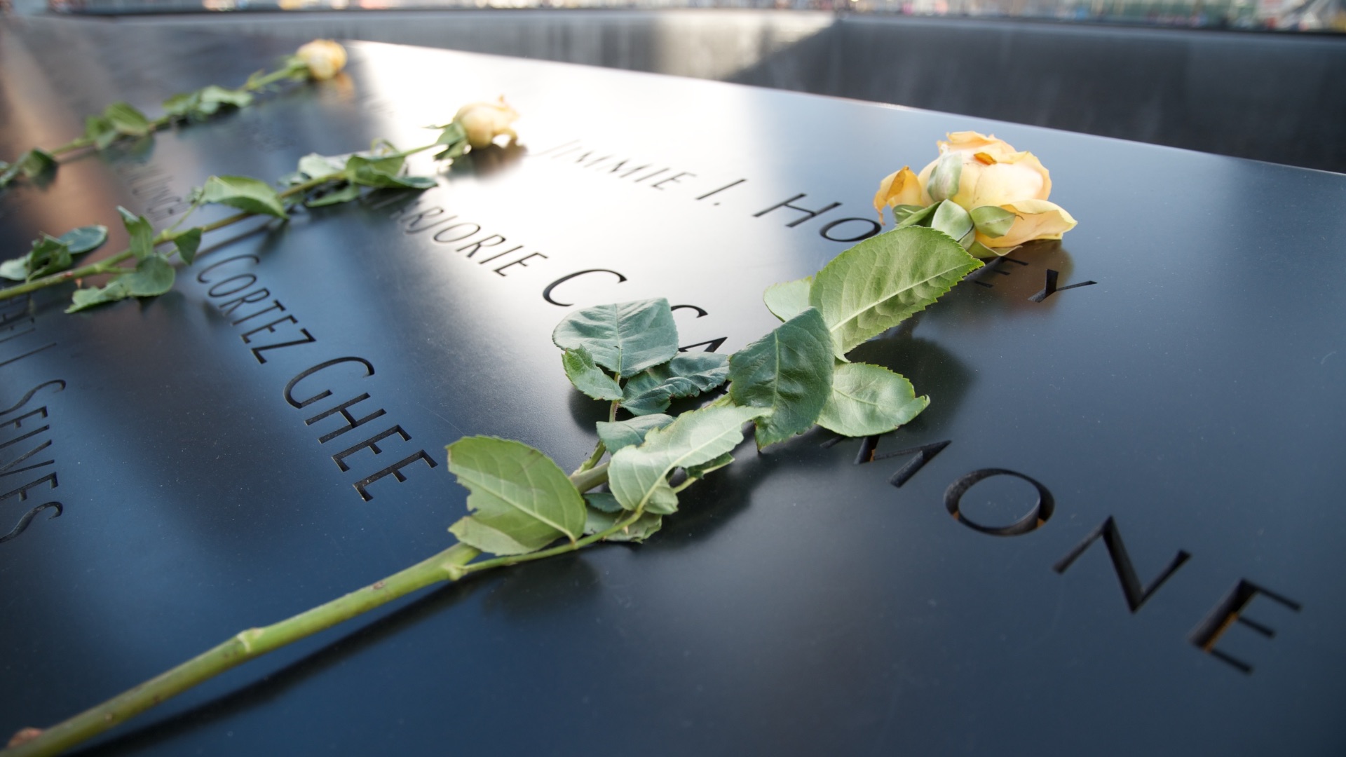 1. Le Mémorial national du 11 septembre — New York