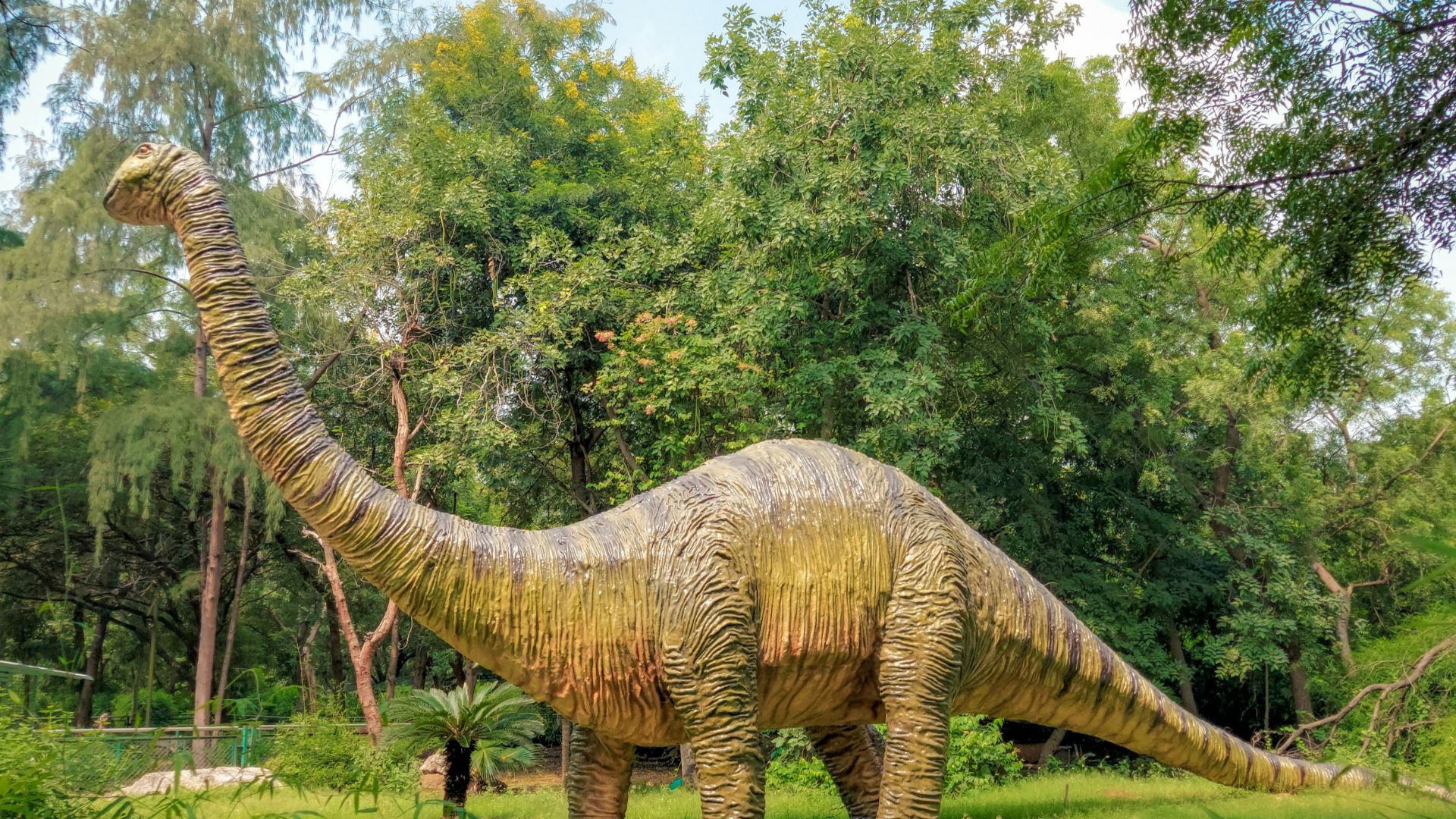 15. Les dinosaures ne se déplaçaient pas tous à la même vitesse