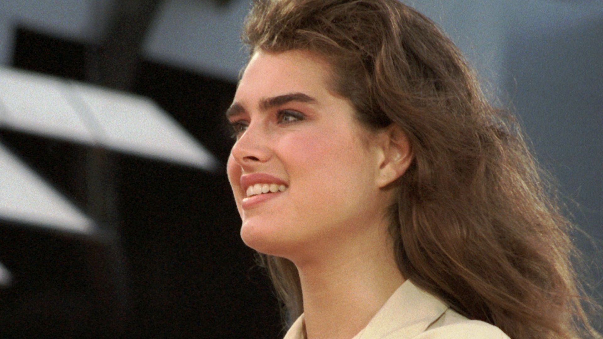 3. Brooke Shields et le roi Henri IV de France