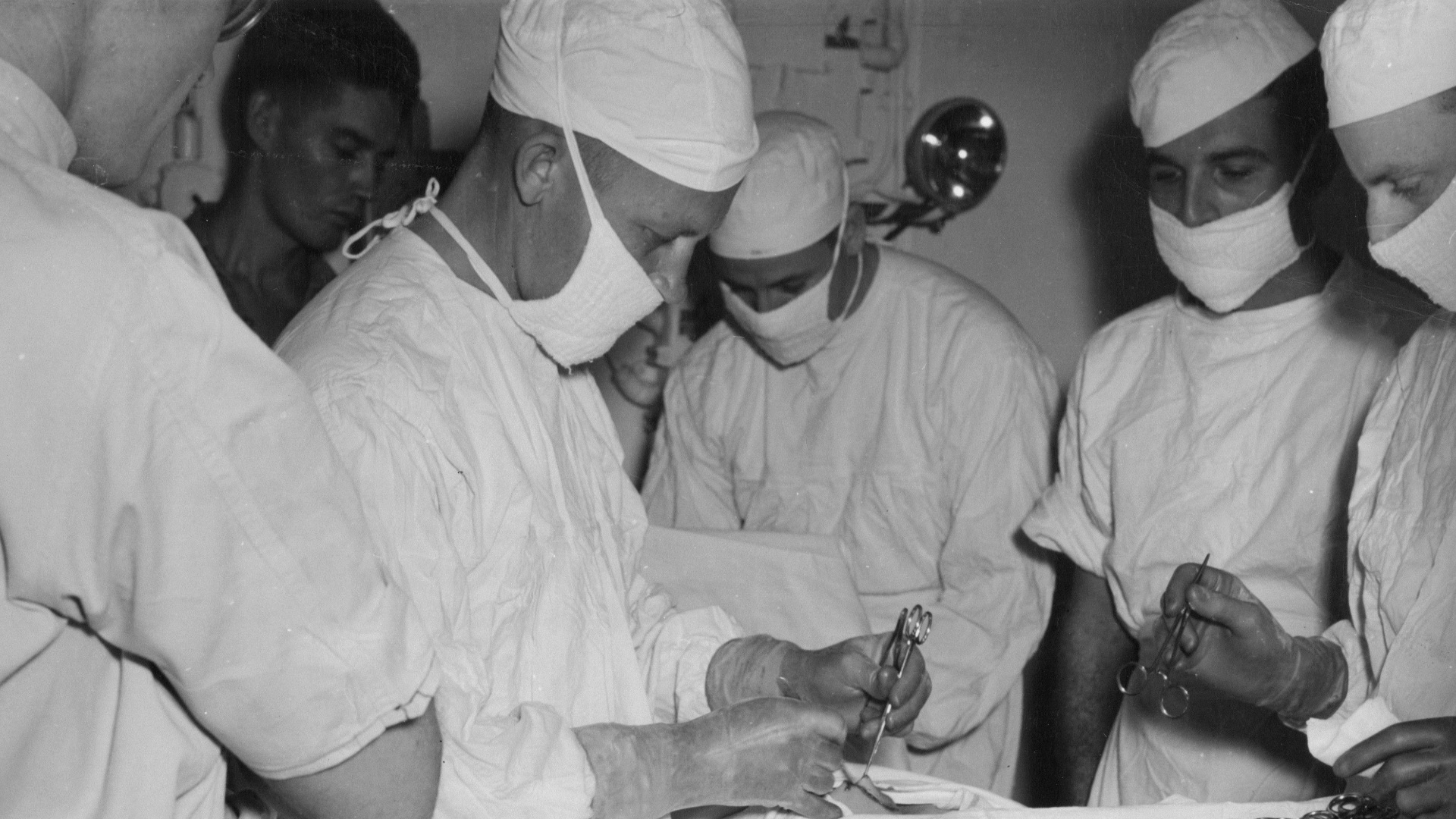 18. L'expérience de Vanderbilt sur le fer radioactif