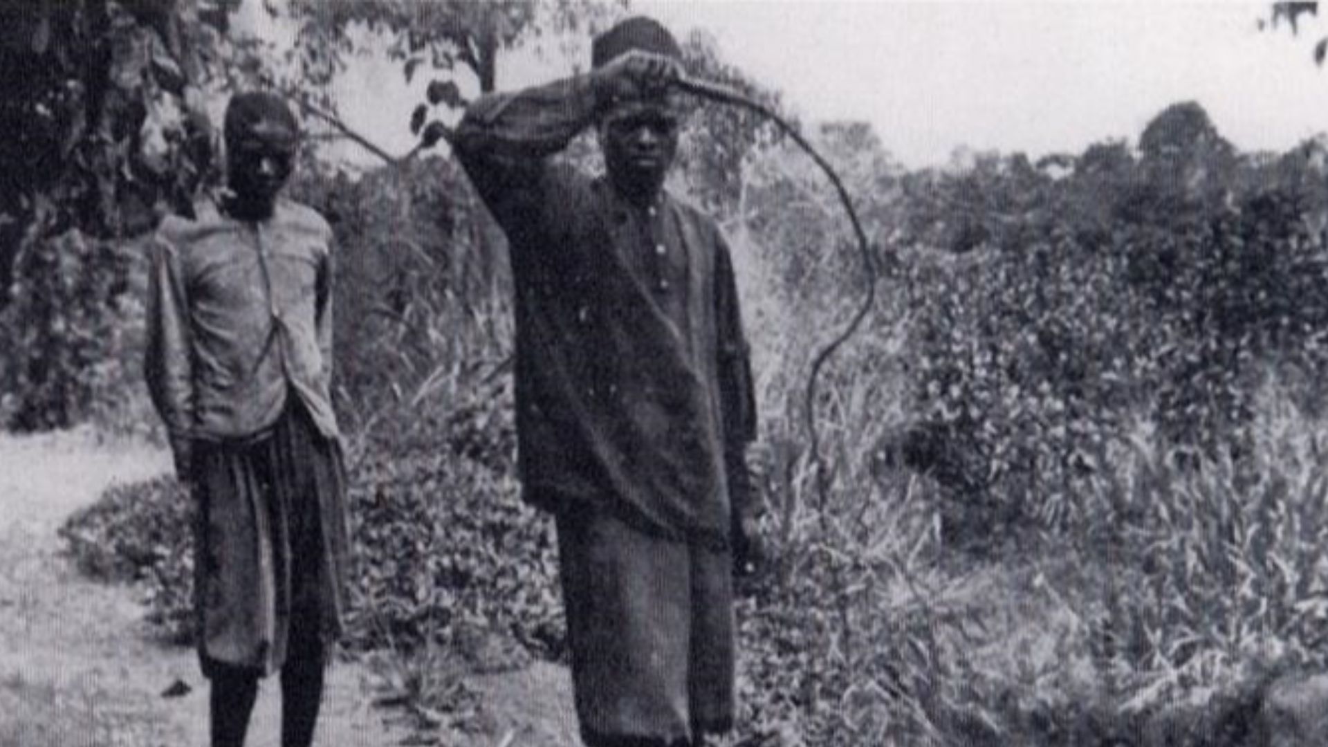 8. L'État libre du Congo
